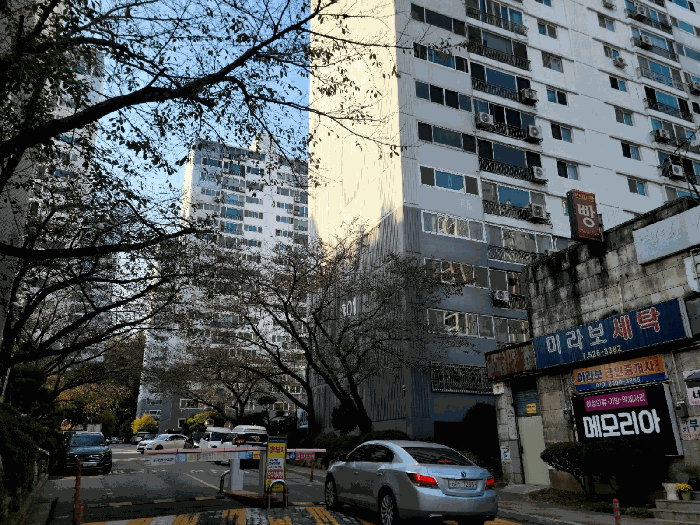 사진 1