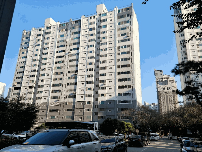 사진 5