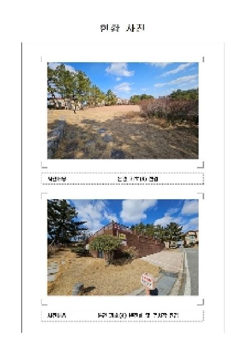사진 11