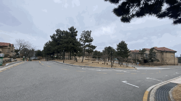 사진 12