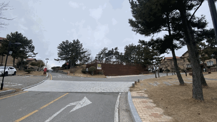 사진 13