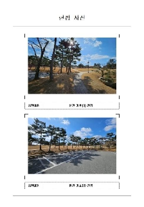 사진 8