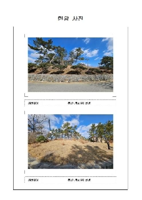 사진 9