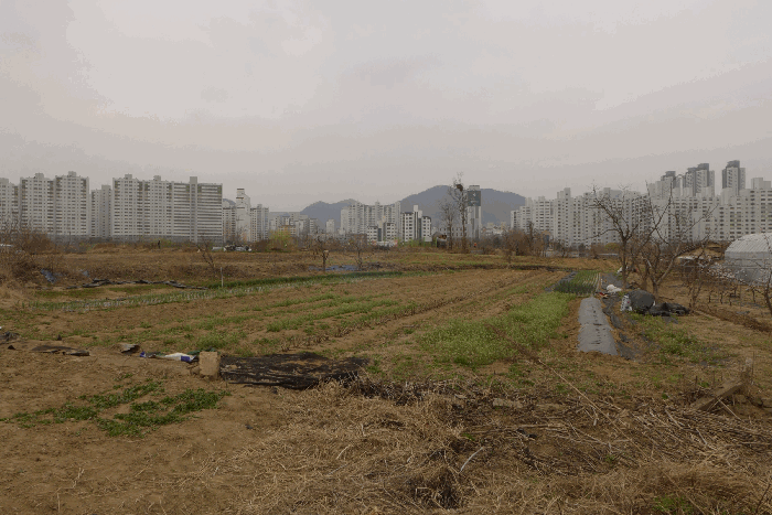 사진 28