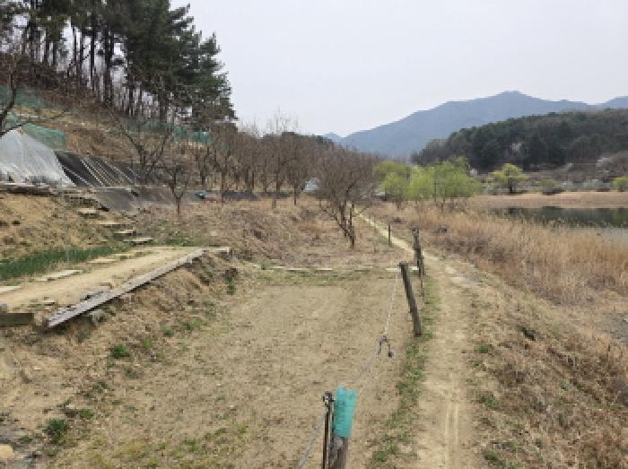 사진 3