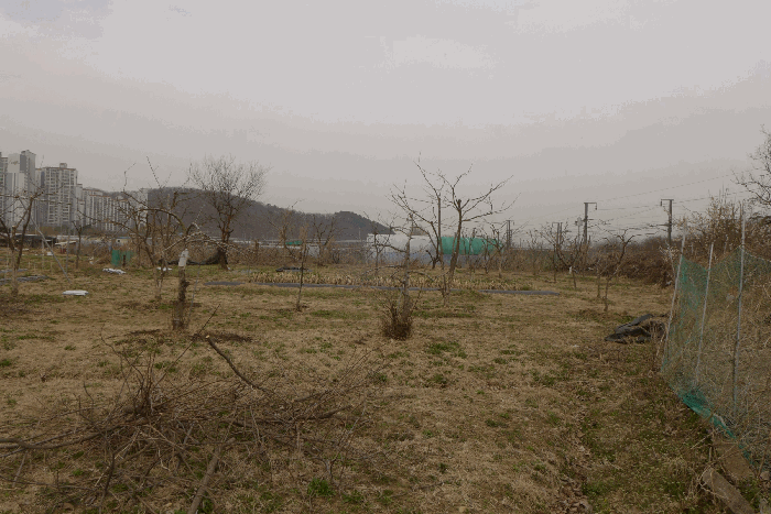 사진 31