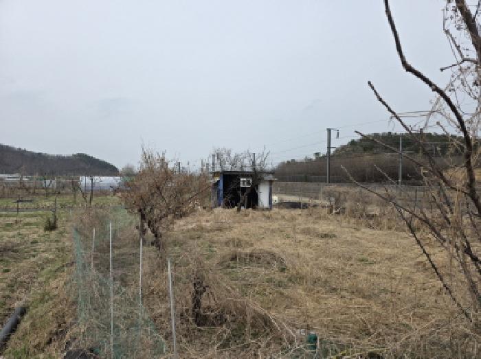 사진 5