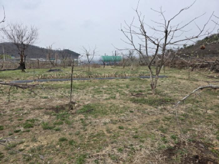 사진 7