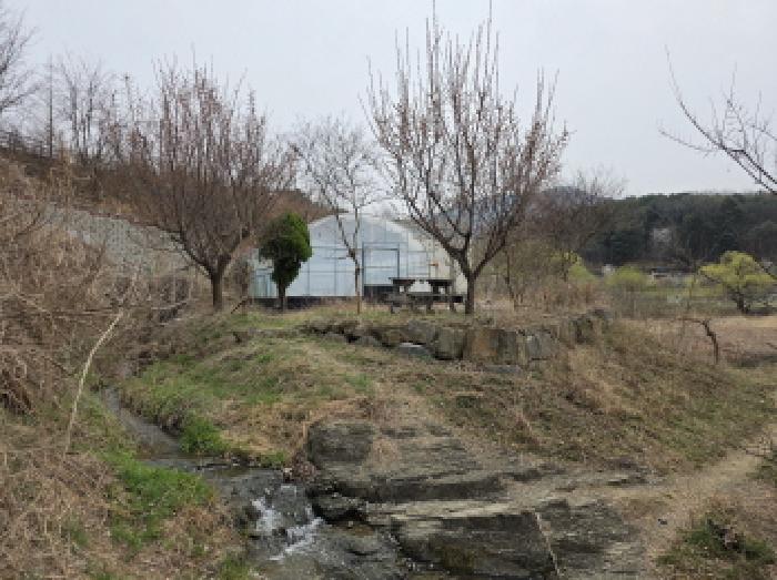 사진 8