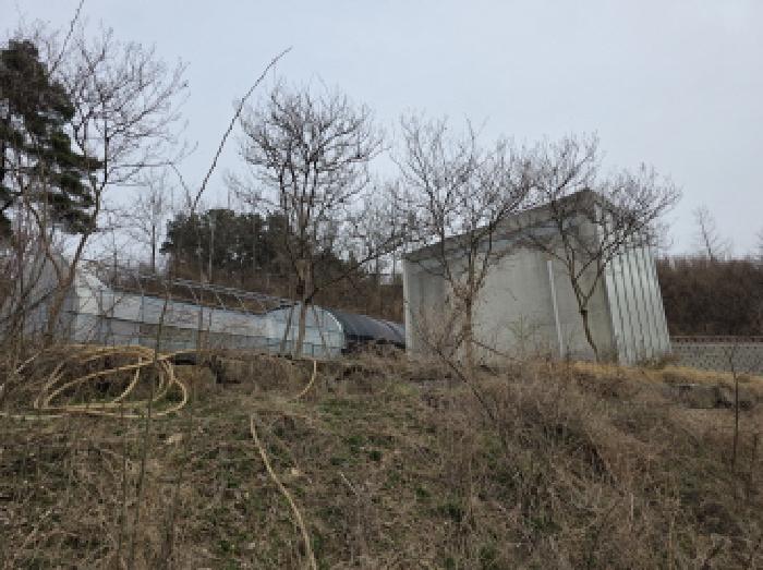 사진 9