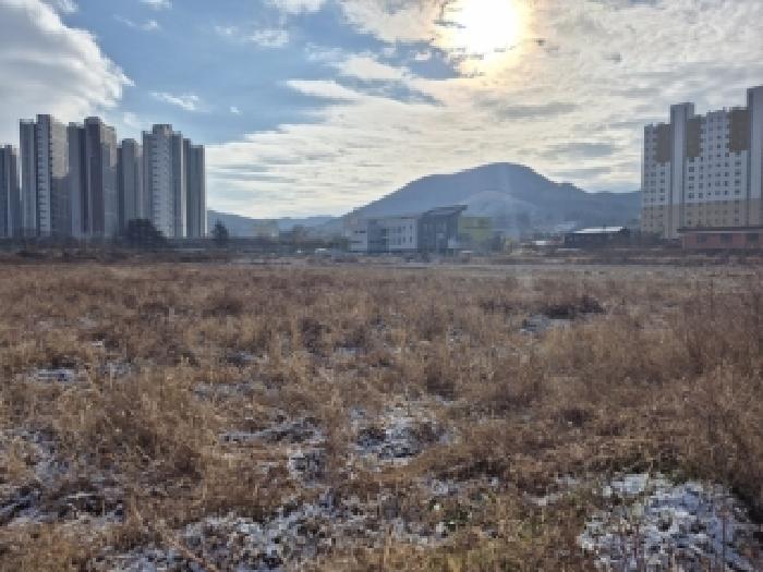 사진 5