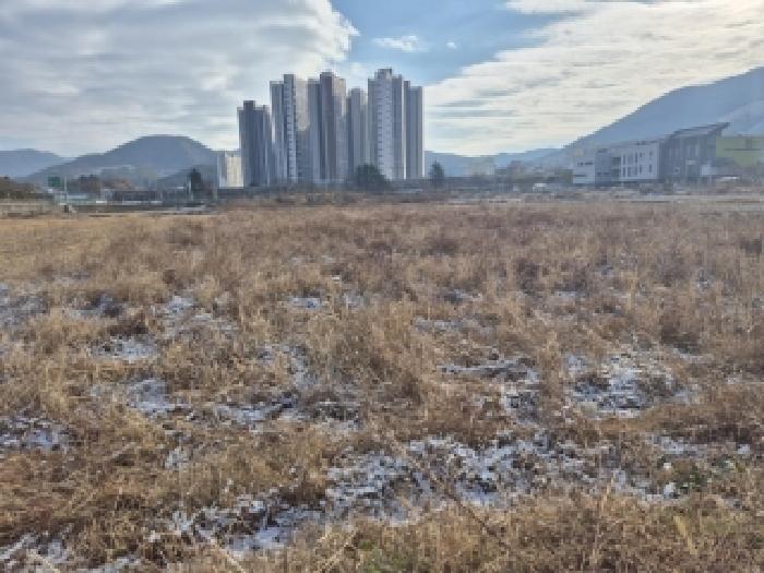 사진 6