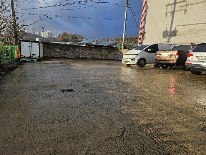 사진 11
