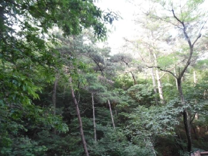 사진 1