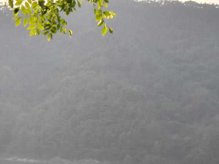 사진 8