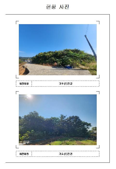 사진 3
