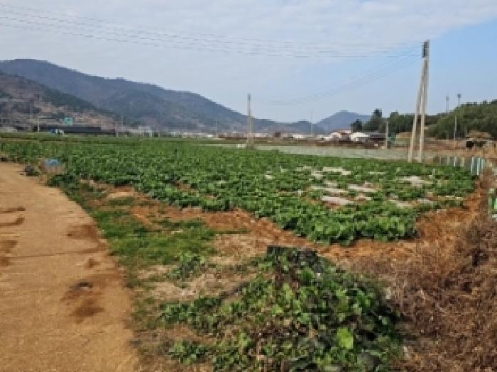 사진 1