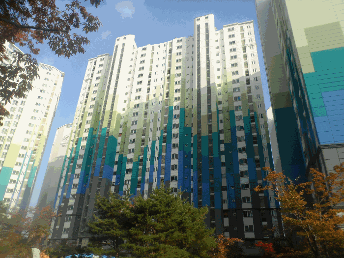 사진 6
