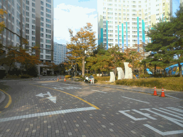 사진 7