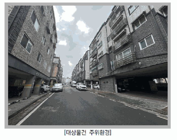 사진 12