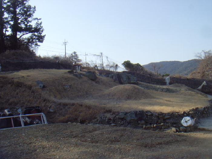 사진 2