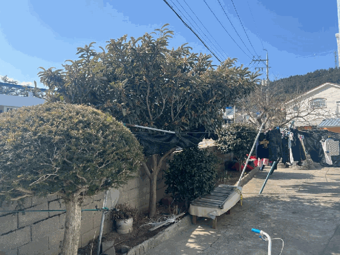 사진 17