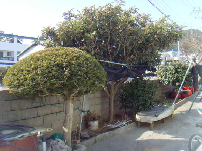 사진 5