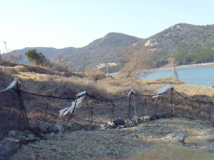 사진 7