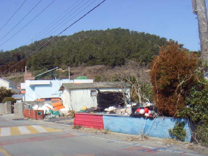 사진 8