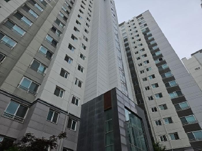 사진 3