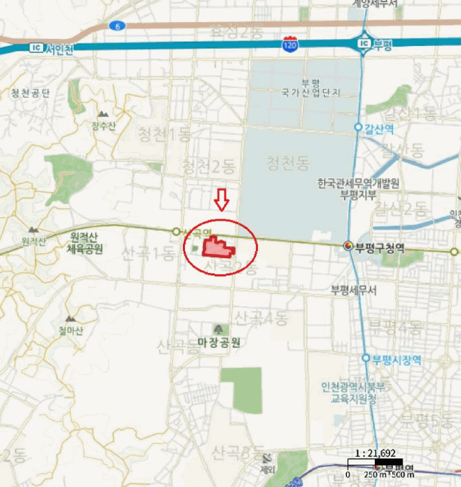 사진 10
