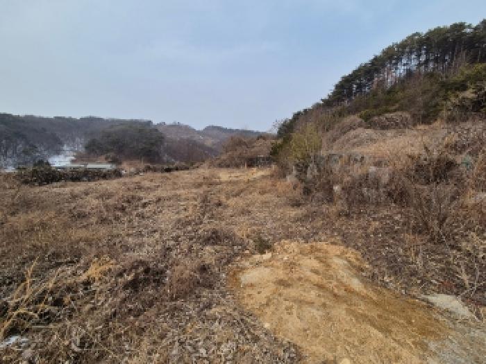사진 10