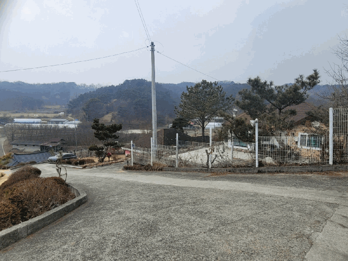 사진 21
