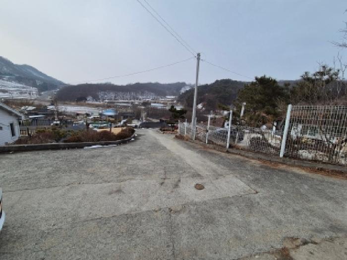사진 3