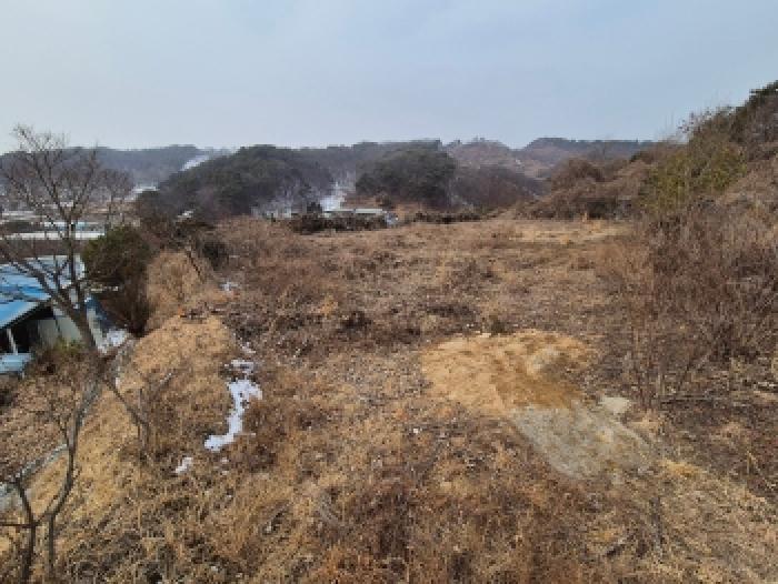 사진 9