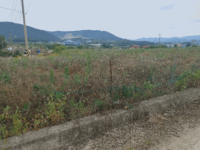 사진 2