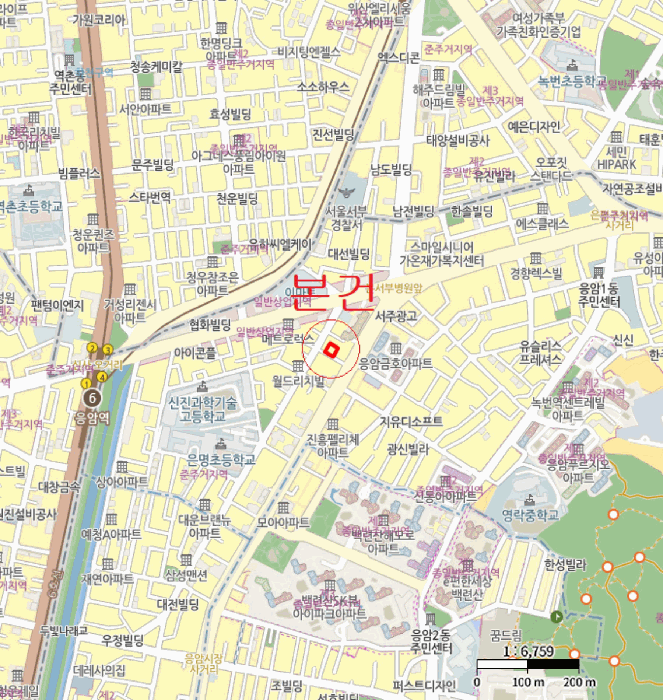 사진 3