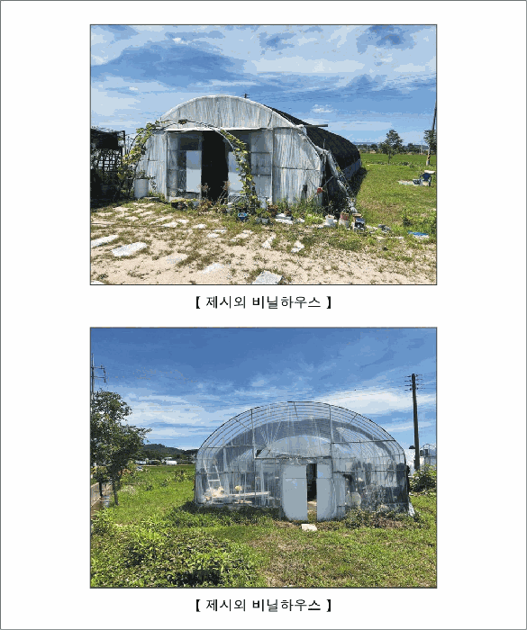 사진 3