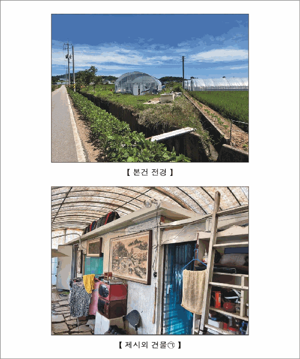 사진 6