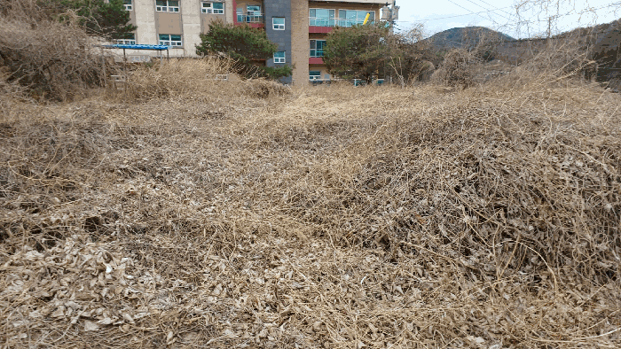 사진 11