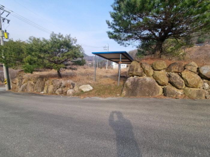 사진 1