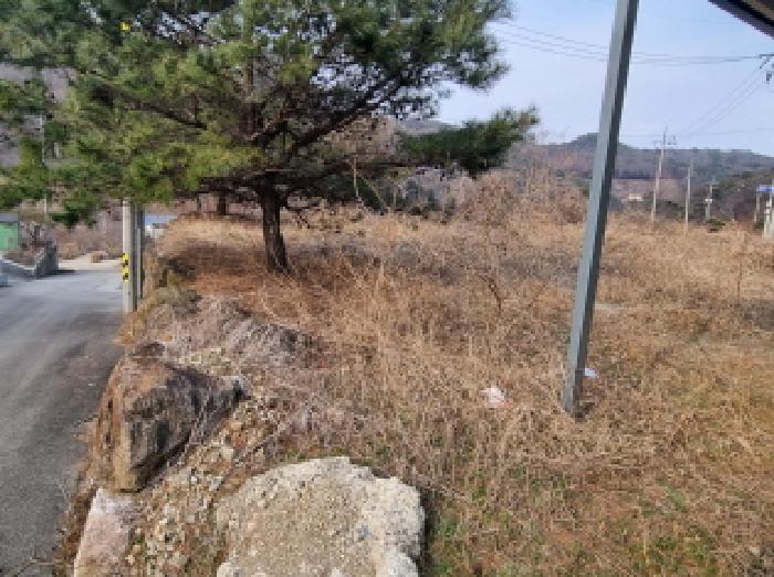 사진 14