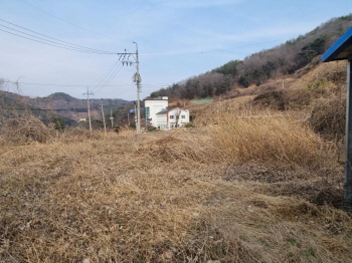 사진 15