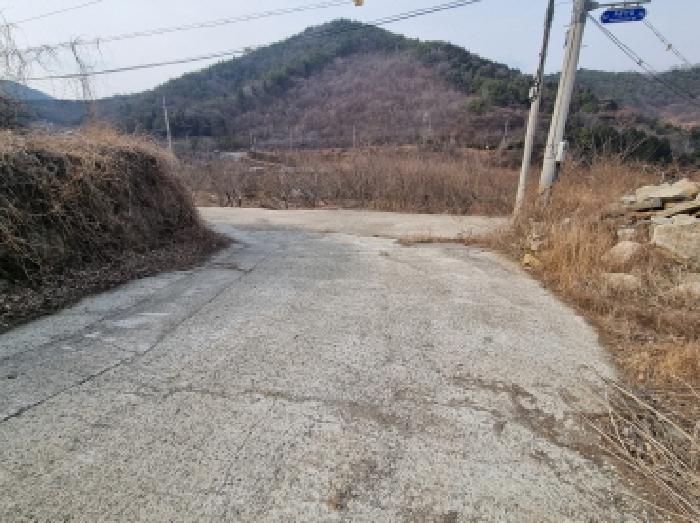 사진 17