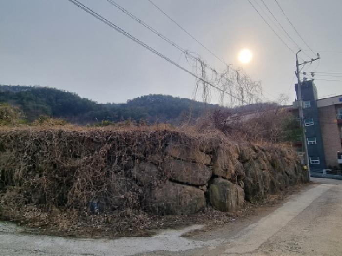 사진 21