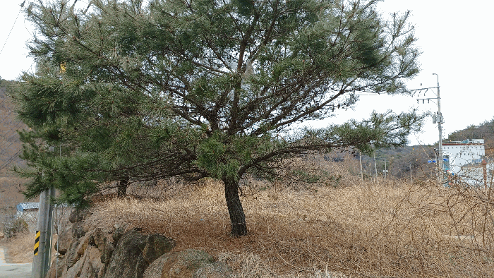 사진 4