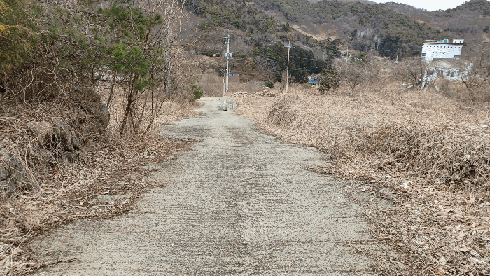 사진 10