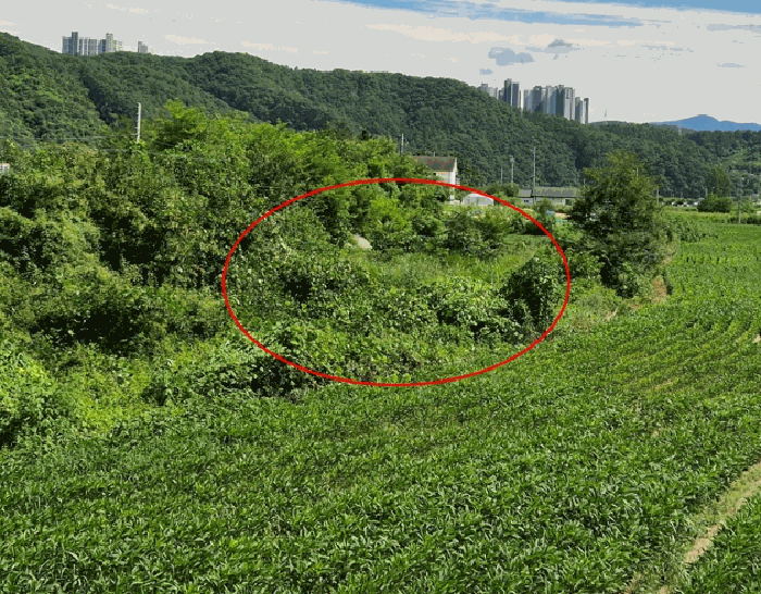 사진 5