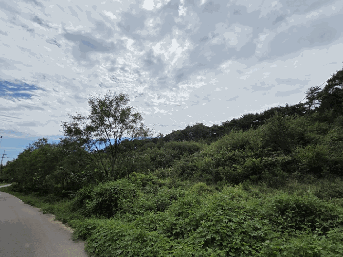 사진 17