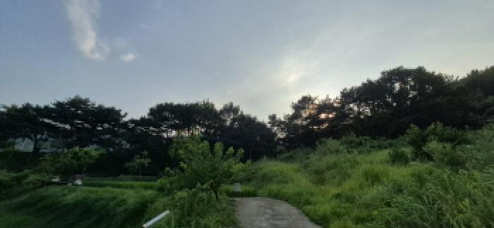 사진 11